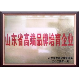 山东省高端品牌培育企业