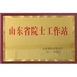 山东省院士工作站